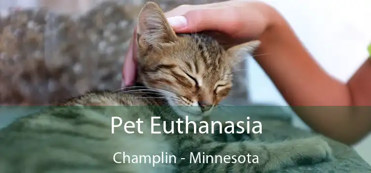 Pet Euthanasia Champlin - Minnesota