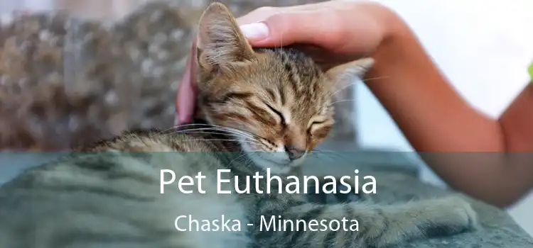 Pet Euthanasia Chaska - Minnesota