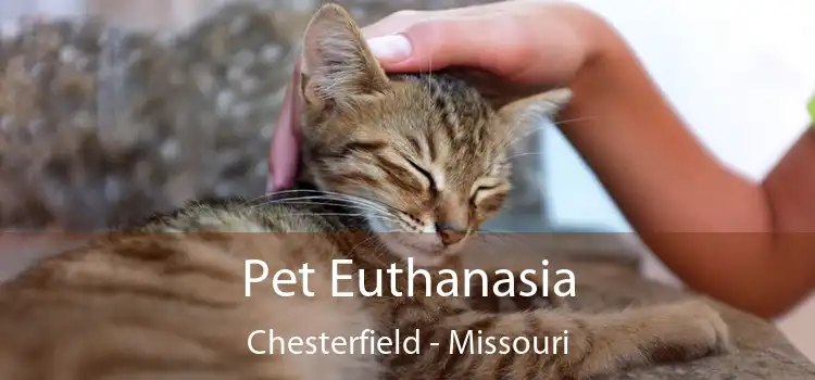 Pet Euthanasia Chesterfield - Missouri