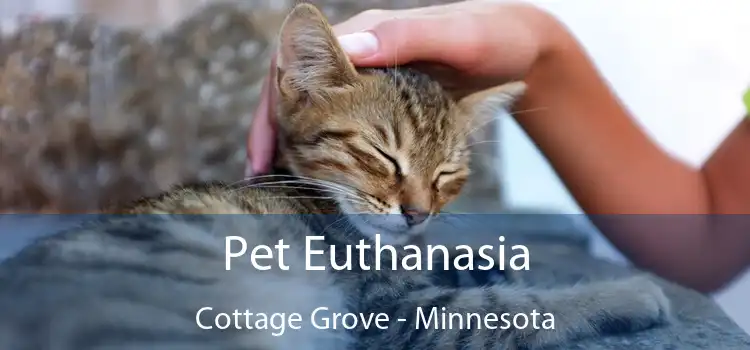 Pet Euthanasia Cottage Grove - Minnesota