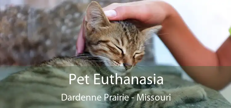 Pet Euthanasia Dardenne Prairie - Missouri