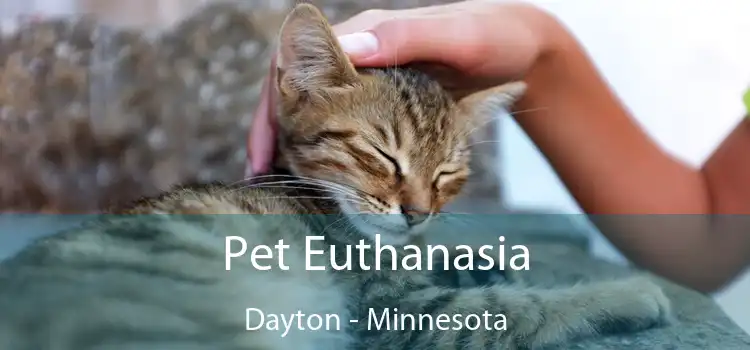 Pet Euthanasia Dayton - Minnesota