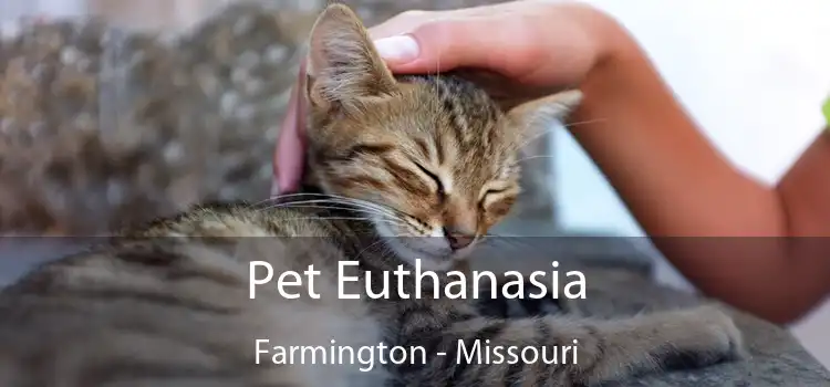 Pet Euthanasia Farmington - Missouri