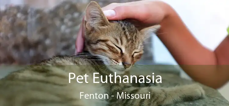 Pet Euthanasia Fenton - Missouri