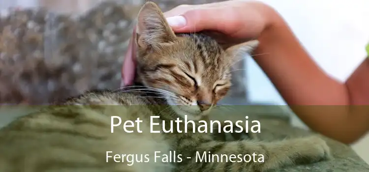 Pet Euthanasia Fergus Falls - Minnesota