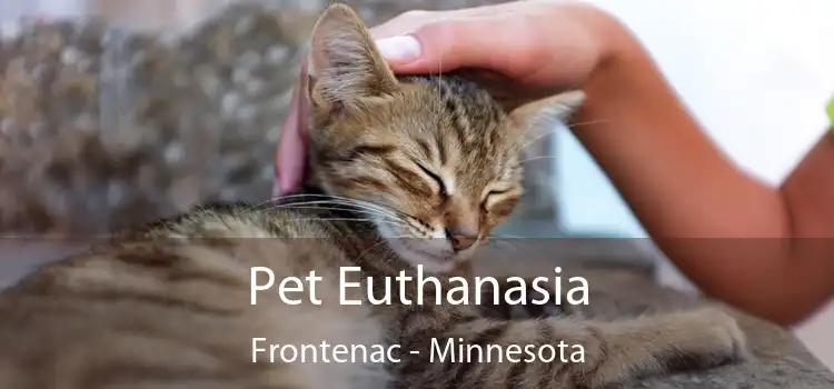 Pet Euthanasia Frontenac - Minnesota