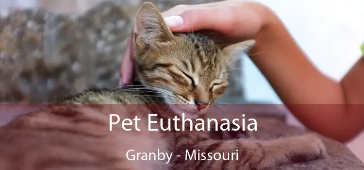 Pet Euthanasia Granby - Missouri