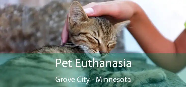 Pet Euthanasia Grove City - Minnesota