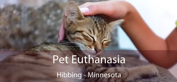 Pet Euthanasia Hibbing - Minnesota