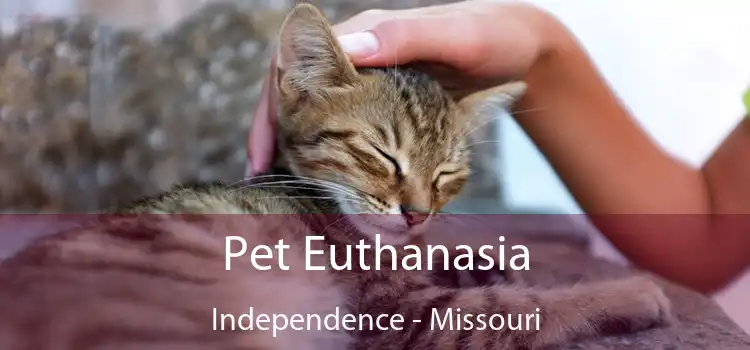 Pet Euthanasia Independence - Missouri