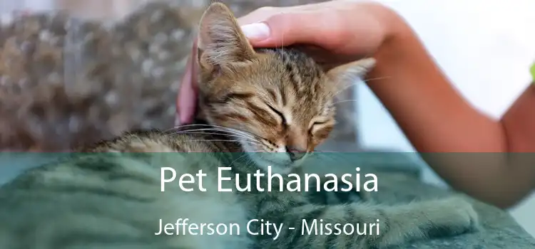 Pet Euthanasia Jefferson City - Missouri