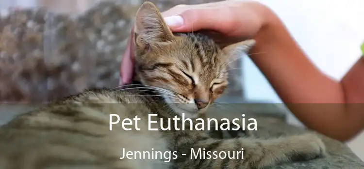 Pet Euthanasia Jennings - Missouri