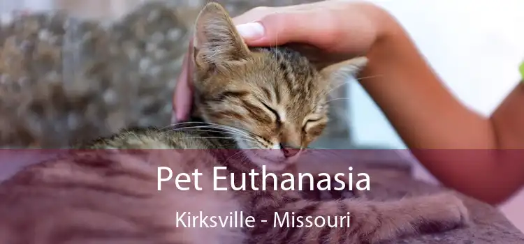 Pet Euthanasia Kirksville - Missouri