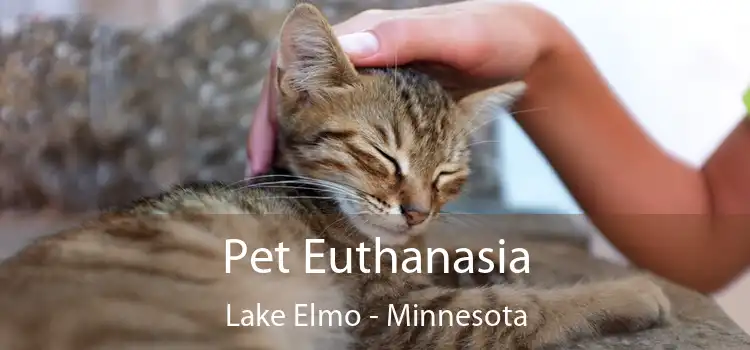 Pet Euthanasia Lake Elmo - Minnesota