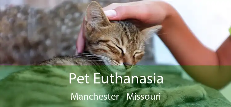 Pet Euthanasia Manchester - Missouri