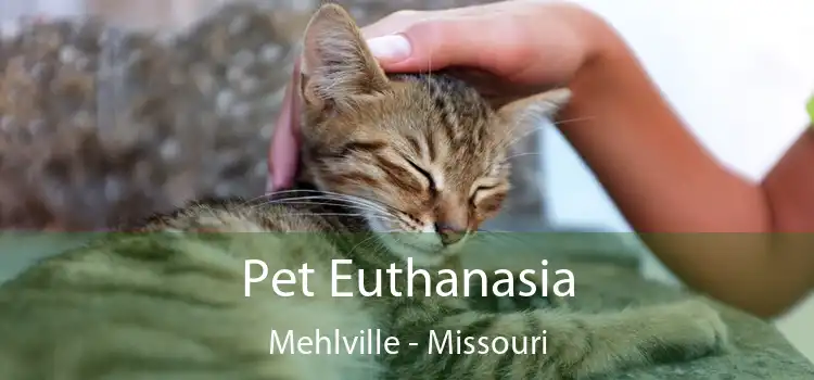 Pet Euthanasia Mehlville - Missouri