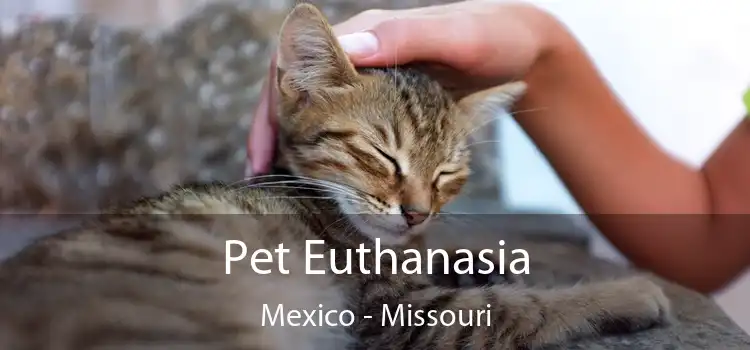 Pet Euthanasia Mexico - Missouri