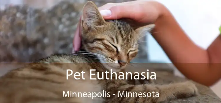 Pet Euthanasia Minneapolis - Minnesota