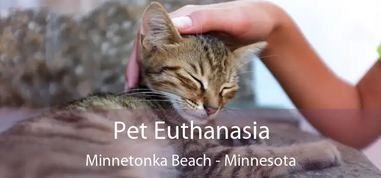 Pet Euthanasia Minnetonka Beach - Minnesota