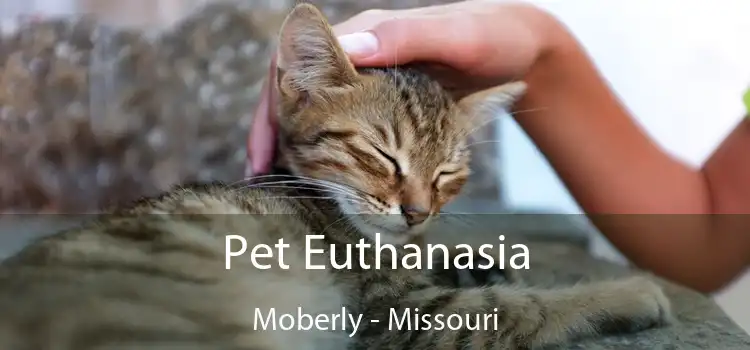 Pet Euthanasia Moberly - Missouri