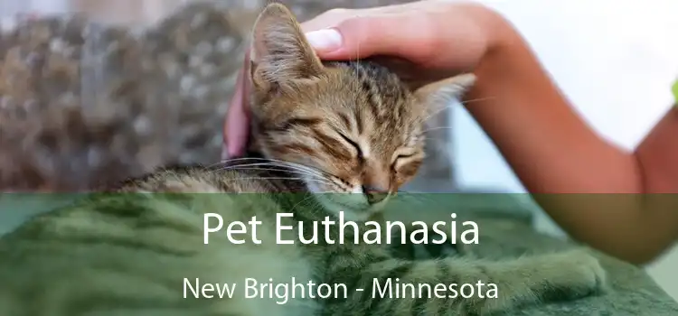 Pet Euthanasia New Brighton - Minnesota