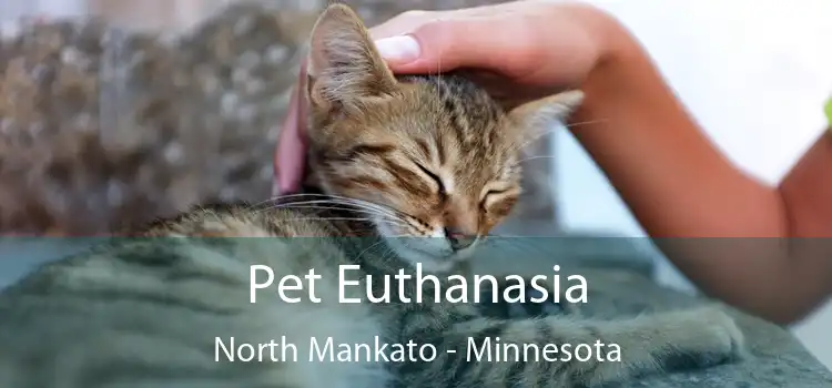 Pet Euthanasia North Mankato - Minnesota