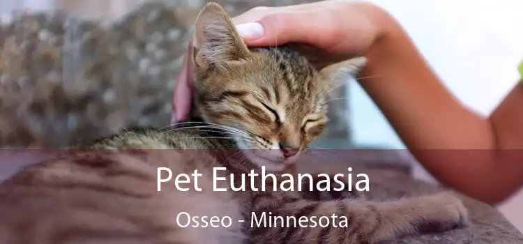 Pet Euthanasia Osseo - Minnesota