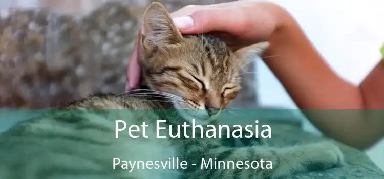 Pet Euthanasia Paynesville - Minnesota