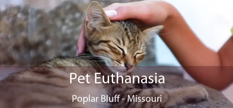 Pet Euthanasia Poplar Bluff - Missouri