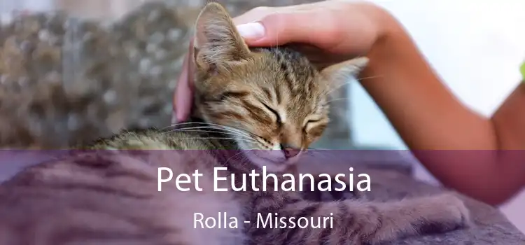 Pet Euthanasia Rolla - Missouri