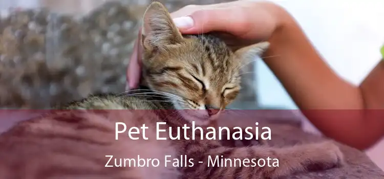 Pet Euthanasia Zumbro Falls - Minnesota