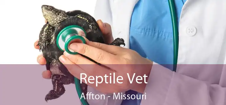 Reptile Vet Affton - Missouri