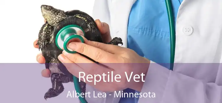 Reptile Vet Albert Lea - Minnesota