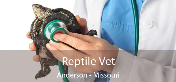 Reptile Vet Anderson - Missouri