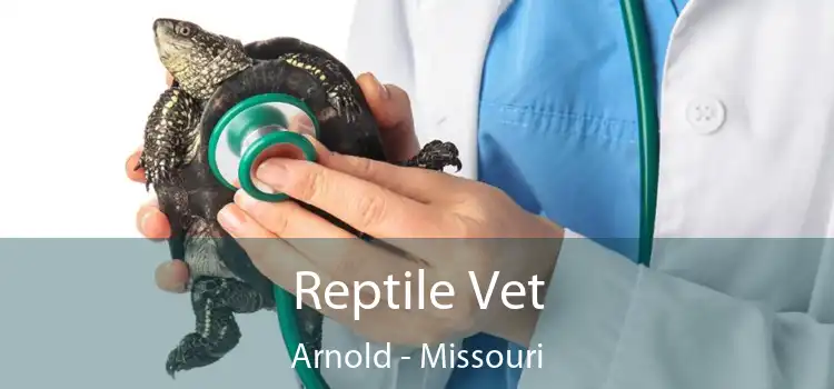 Reptile Vet Arnold - Missouri