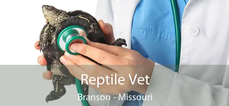 Reptile Vet Branson - Missouri