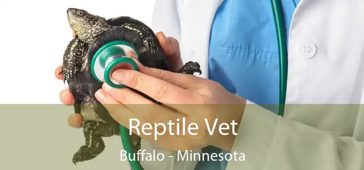 Reptile Vet Buffalo - Minnesota