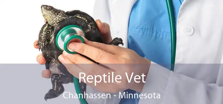 Reptile Vet Chanhassen - Minnesota