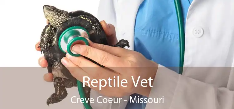 Reptile Vet Creve Coeur - Missouri