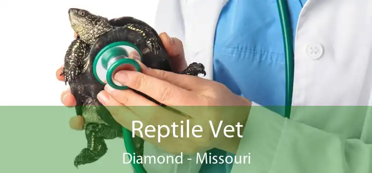 Reptile Vet Diamond - Missouri