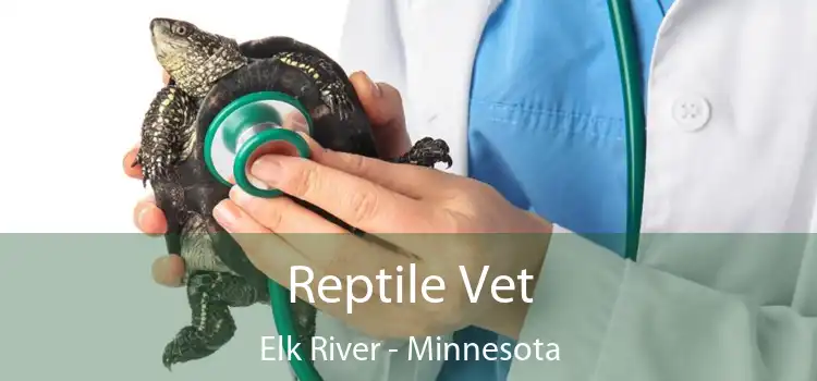 Reptile Vet Elk River - Minnesota