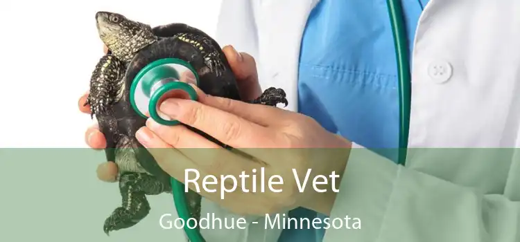 Reptile Vet Goodhue - Minnesota