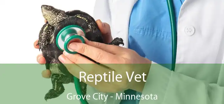 Reptile Vet Grove City - Minnesota