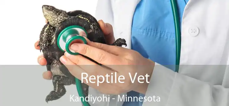 Reptile Vet Kandiyohi - Minnesota