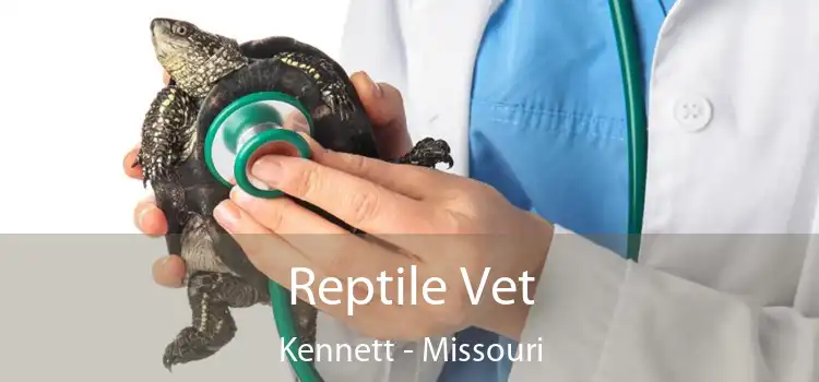 Reptile Vet Kennett - Missouri