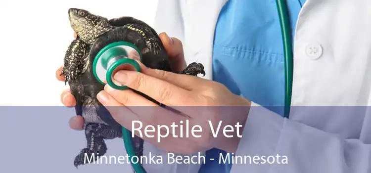 Reptile Vet Minnetonka Beach - Minnesota