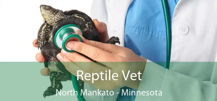 Reptile Vet North Mankato - Minnesota