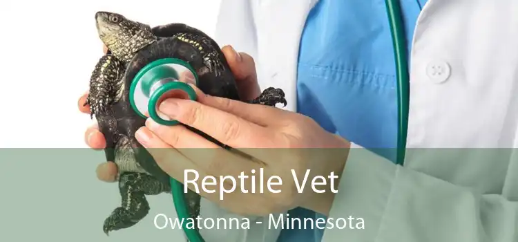 Reptile Vet Owatonna - Minnesota