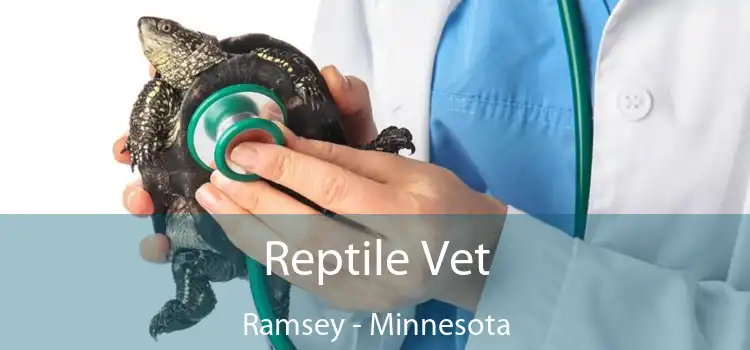 Reptile Vet Ramsey - Minnesota