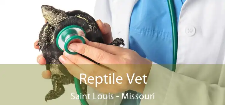 Reptile Vet Saint Louis - Missouri